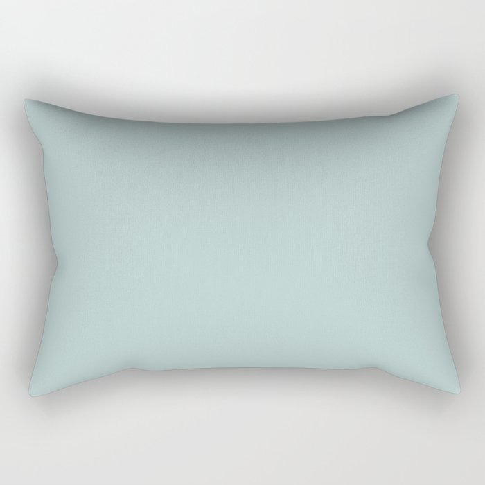 http://simplysolidhomedecor.com/cdn/shop/products/light-pastel-green-solid-color-pairs-to-sherwin-williams-watery-sw-6478-rectangular-pillows.jpg?v=1661448694