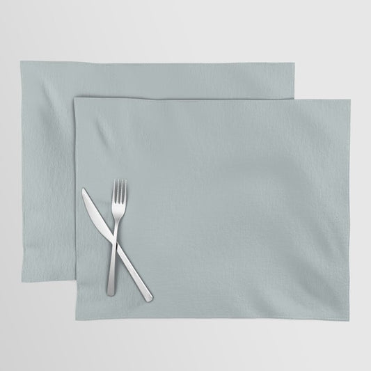 Airy Light Pastel Blue Gray / Grey Solid Color Pairs To Sherwin Williams Niebla Azul SW 9137 Placemat