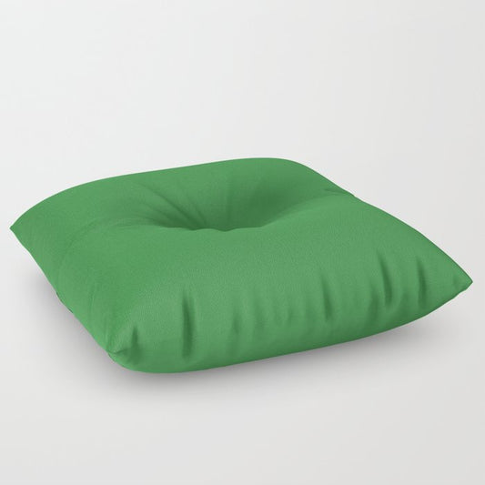 All About The Greens Shamrock / Emerald / Parakeet Green Solid Color Pairs To Sherwin Williams Envy SW 6925 Floor Pillow
