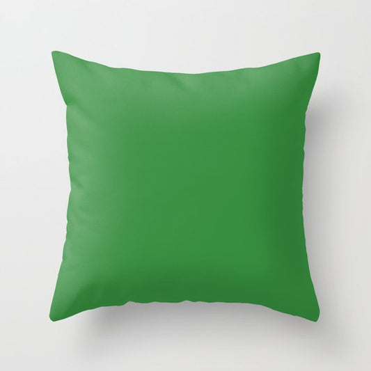 All About The Greens Shamrock / Emerald / Parakeet Green Solid Color Pairs To Sherwin Williams Envy SW 6925 Throw Pillow
