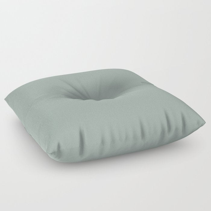 Allaying Grey Blue Green Solid Color Pairs To Sherwin Williams Halcyon Green SW 6213 Floor Pillow
