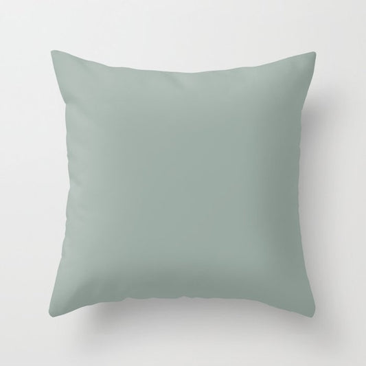 Allaying Grey Blue Green Solid Color Pairs To Sherwin Williams Halcyon Green SW 6213 Throw Pillow