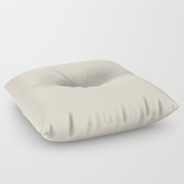 Almond Off White Solid Color Pairs 2023 Trending Hue Glidden Fossil Stone PPG1102-2 Floor Pillow