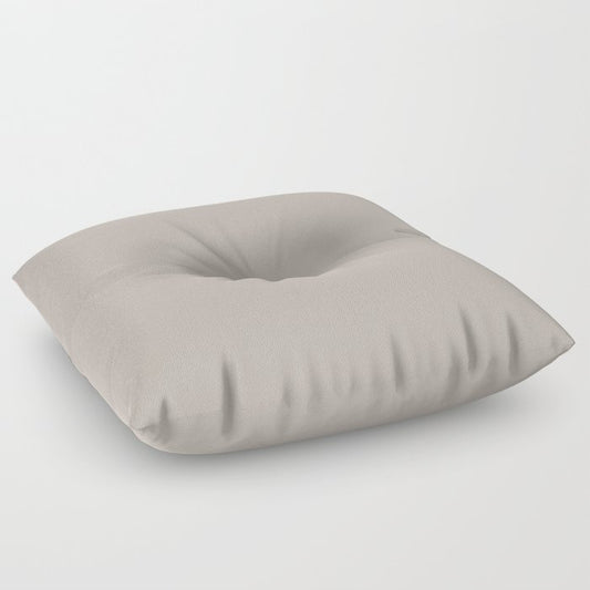 Anew Grey Solid Color Accent Shade / Hue Matches Sherwin Williams Versatile Gray SW 6072 Floor Pillow