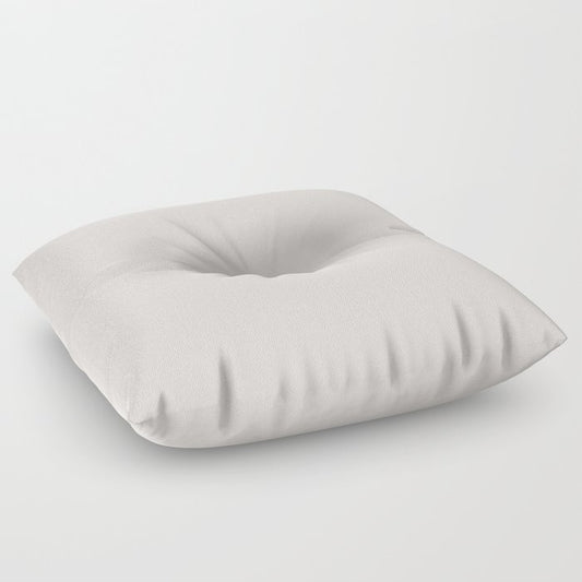Anew Off-White Solid Color Accent Shade / Hue Matches Sherwin Williams Incredible White SW 7028 Floor Pillow