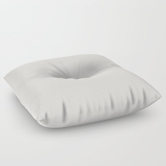 Angel Wings White Solid Color Accent Shade / Hue Matches Sherwin Williams Snowfall SW 6000 Floor Pillow