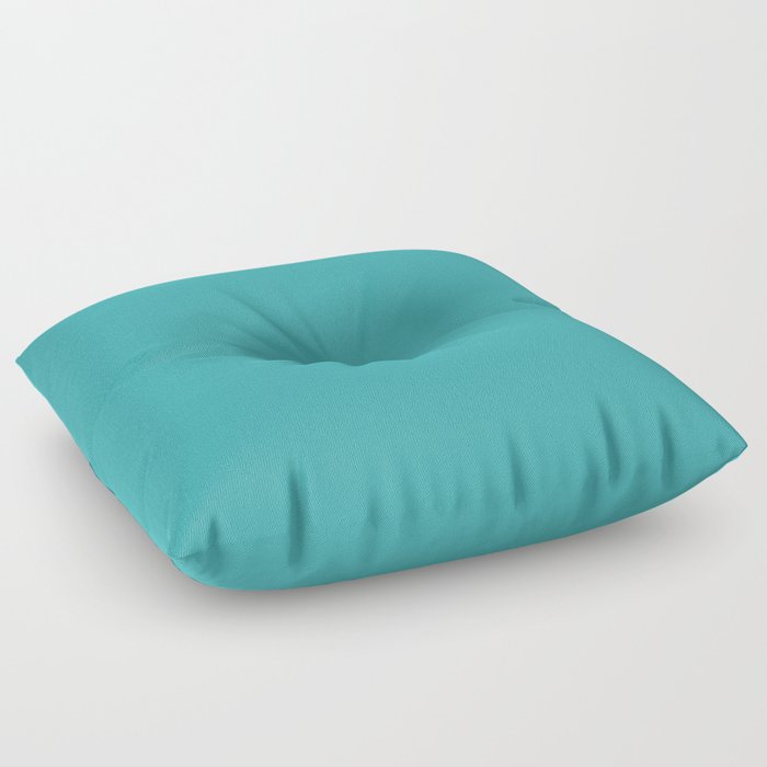 Aqua / Teal / Turquoise Solid Color Pairs Sherwin Williams Aquarium SW 6767 / Accent Shade / Hue Floor Pillow