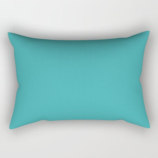 Aqua / Teal / Turquoise Solid Color Pairs Sherwin Williams Aquarium SW 6767 / Accent Shade / Hue Rectangular Pillow