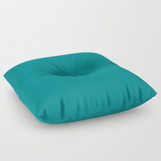 Artistically Bright Mid Tone Aquamarine Green Blue Solid Color Pairs To Sherwin Williams Gulfstream SW 6768 Floor Pillow