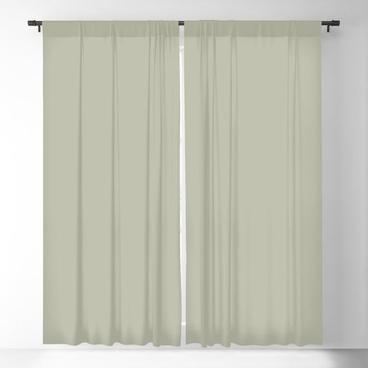 Astral Light Pastel Green Solid Color Pairs To Sherwin Williams Softened Green SW 6177 Blackout Curtain