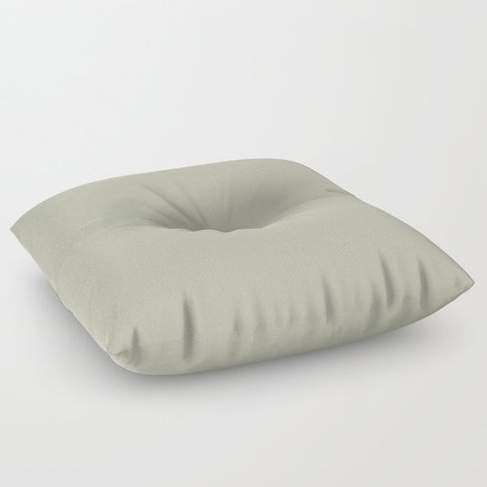 Astral Light Pastel Green Solid Color Pairs To Sherwin Williams Softened Green SW 6177 Floor Pillow