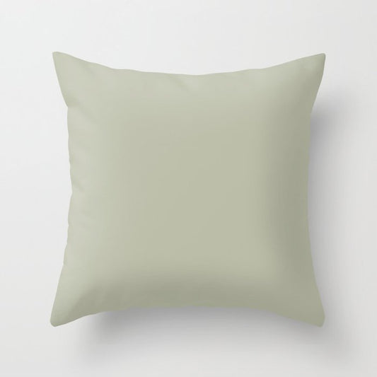 Astral Light Pastel Green Solid Color Pairs To Sherwin Williams Softened Green SW 6177 Throw Pillow