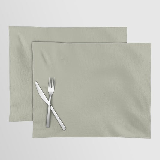 Astral Light Pastel Green Solid Color Pairs To Sherwin Williams Softened Green SW 6177 Placemat