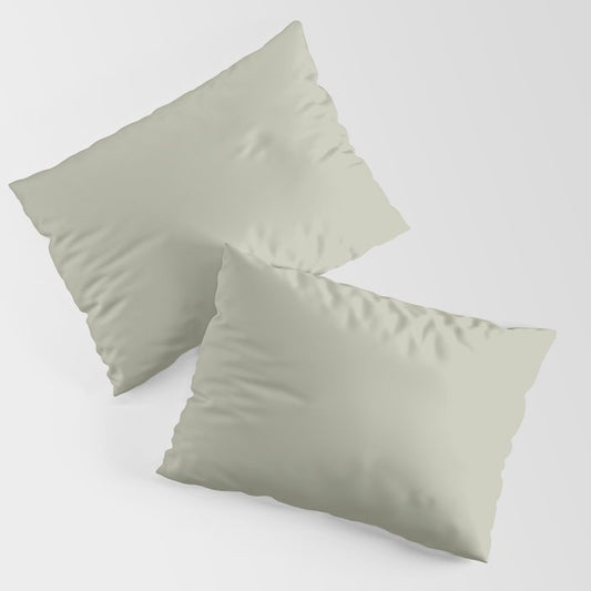 Astral Light Pastel Green Solid Color Pairs To Sherwin Williams Softened Green SW 6177 Pillow Sham Set