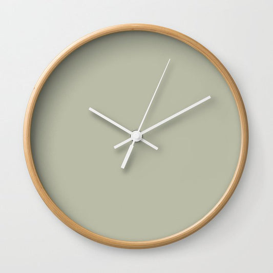 Astral Light Pastel Green Solid Color Pairs To Sherwin Williams Softened Green SW 6177 Wall Clock