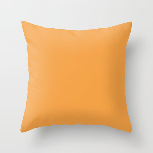 Autumn Pumpkins Solid Color Accent Shade / Hue Matches Sherwin Williams Osage Orange SW 6890 Throw Pillow