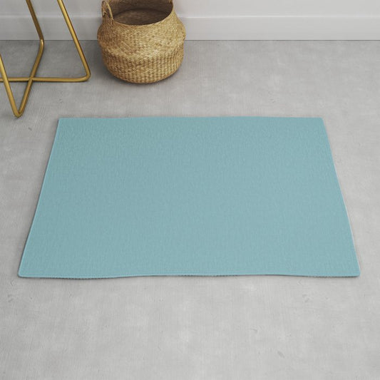 Balmy Light Pastel Blue Solid Color Pairs To Sherwin Williams Ebbtide SW 6493 Throw & Area Rugs