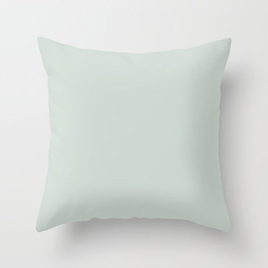 Beach Glass Pastel Green Coordinates w/ Behr 2022 Color of the Year Breezeway MQ3-21 Throw Pillow