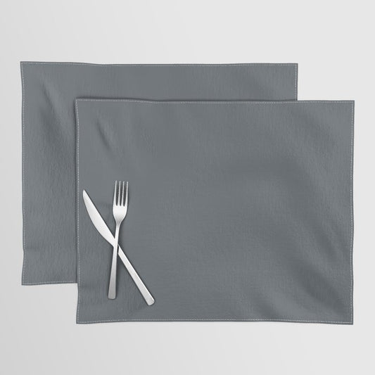 Behr Paint Blue Metal Gray HDC-AC-25 Trending Color 2019 - Solid Color Placemat