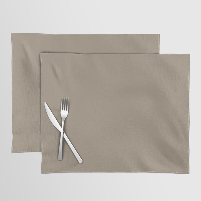 Clay Beige Gray Solid Color Pairs PPG Glidden 2023 Trending Color Oyster Shell PPG14-13 Placemat