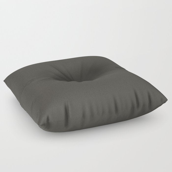 Dark Brown Black Solid Color Pairs Dulux 2023 Trending Shade Namadji SN4G8 Floor Pillow