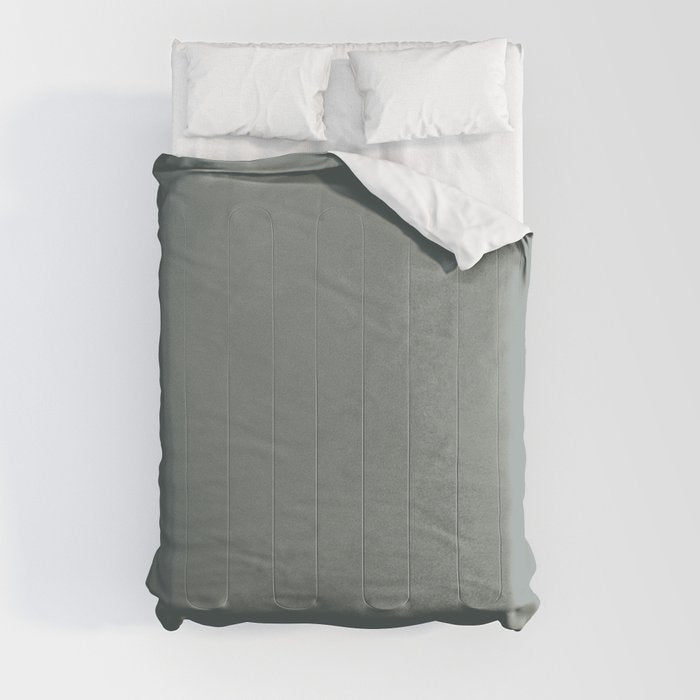Dark Green Gray Solid Color Pairs PPG Glidden 2023 Trending Color Thunderbolt PPG10-06 Comforter