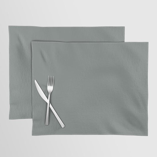 Dark Green Gray Solid Color Pairs PPG Glidden 2023 Trending Color Thunderbolt PPG10-06 Placemat