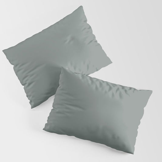 Dark Green Gray Solid Color Pairs PPG Glidden 2023 Trending Color Thunderbolt PPG10-06 Pillow Sham