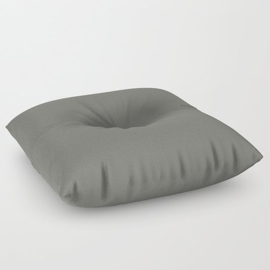Dark Muted Gray Green Solid Color Pairs 2023 Trending Hue Dutch Boy Limestone Slate 422-6DB Floor Pillow