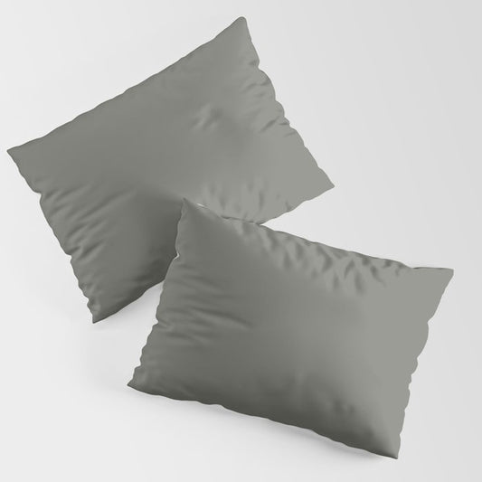 Dark Muted Gray Green Solid Color Pairs 2023 Trending Hue Dutch Boy Limestone Slate 422-6DB Pillow Sham Sets