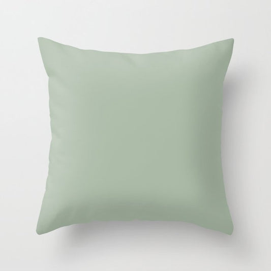 Dark Pastel Sage Solid Color Pairs 2023 Color of the Year Valspar Green Trellis 5006-3C Throw Pillow