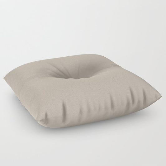 Earth Tone Smoked Beige Solid Color Pairs 2023 Color of the Year Valspar Ivory Brown 6006-1C Floor Pillow