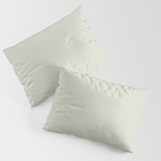 Hazy Green Gray Solid Color Pairs Dulux 2023 Trending Shade Green Alabaster Half S19B1H Pillow Sham Set