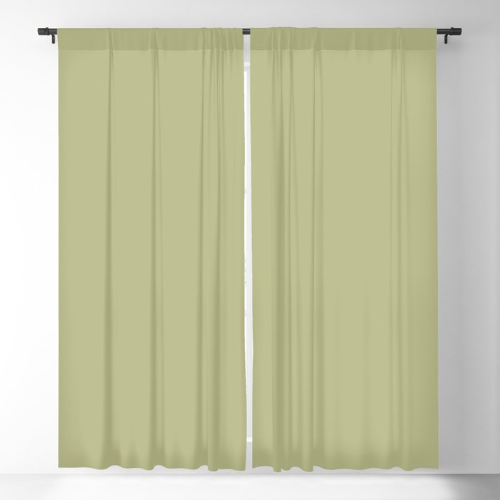 Mid-tone Green Solid Color Dunn & Edwards 2023 Trending Color Aloe Plant DE5563 Life in Poetry Collection Blackout Curtains