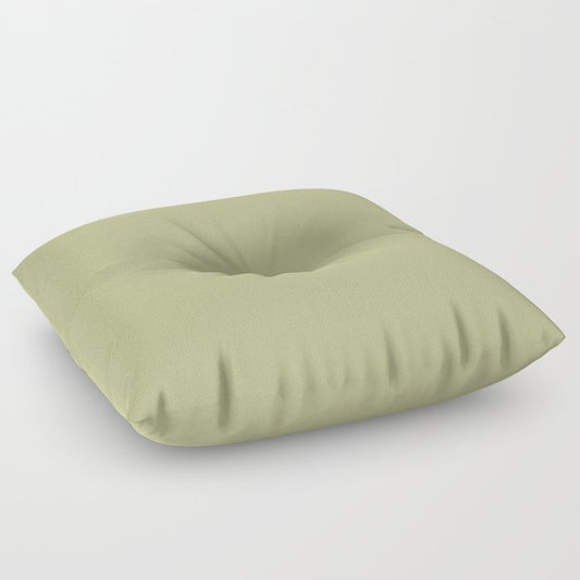Mid-tone Green Solid Color Dunn & Edwards 2023 Trending Color Aloe Plant DE5563 Life in Poetry Collection Floor Pillow