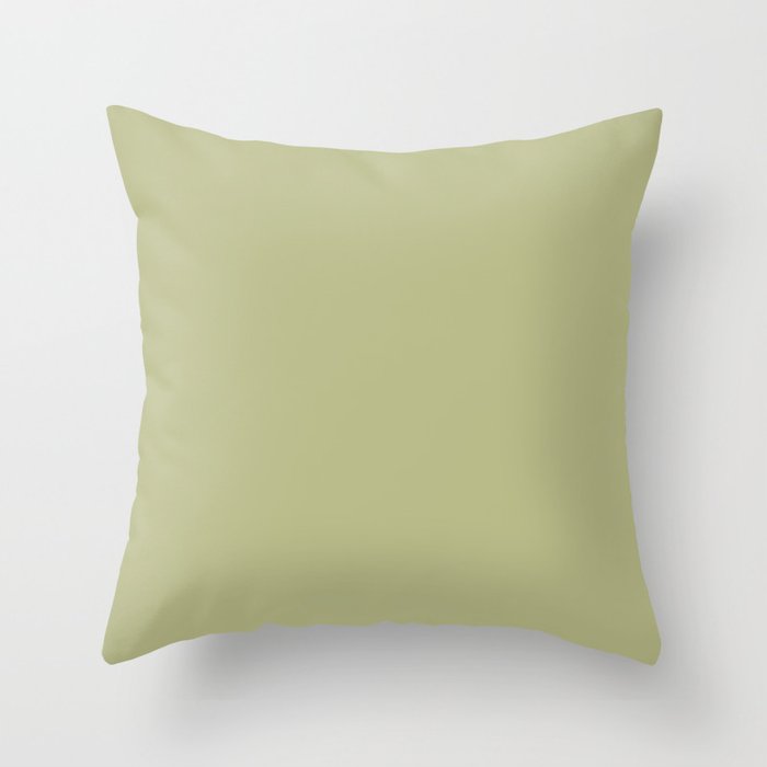 Mid-tone Green Solid Color Dunn & Edwards 2023 Trending Color Aloe Plant DE5563 Life in Poetry Collection Throw Pillow