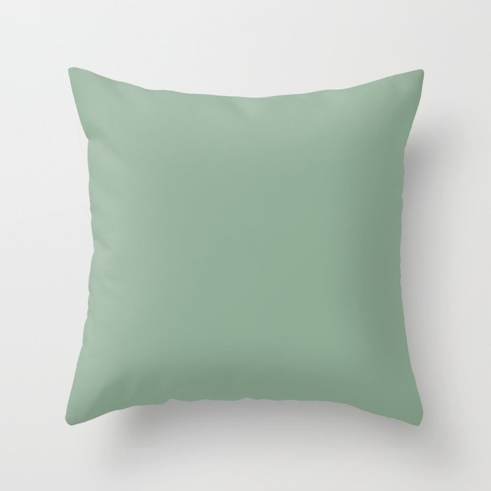 Mid-tone Green Solid Color Pairs 2023 Trending Hue Dutch Boy Glamorized Green 328-4DB Throw Pillow