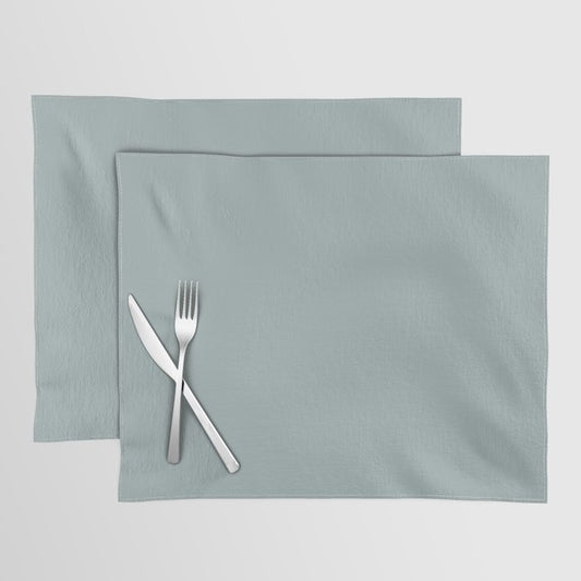 Muted Bluish Gray Solid Color Pairs 2023 Color of the Year Valspar Blue Arrow 5001-3C Placemat