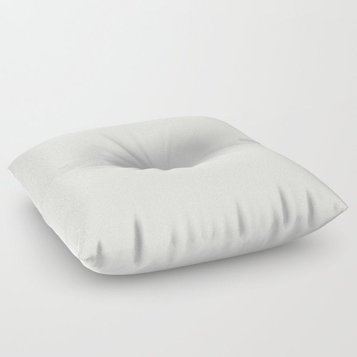 Off White Solid Color Dunn & Edwards 2023 Trending Color Spooled White DE6071 Life in Poetry Collection Floor Pillow