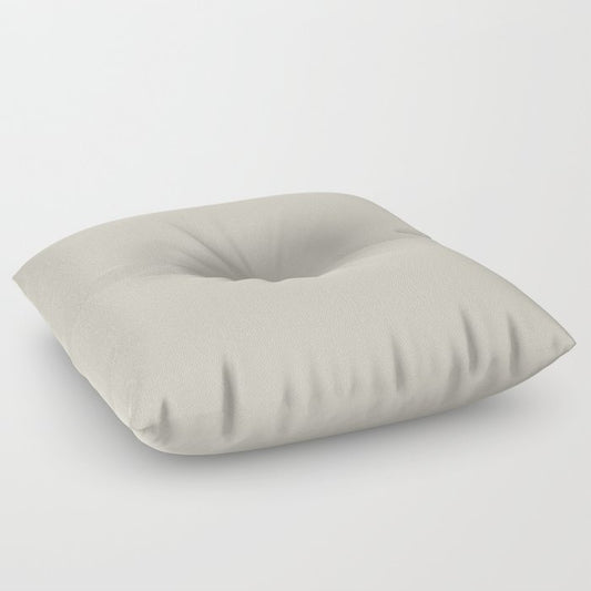 Pale Smokey Gray Solid Color Pairs 2023 Color of the Year Valspar Villa Grey 6005-1B Floor Pillow