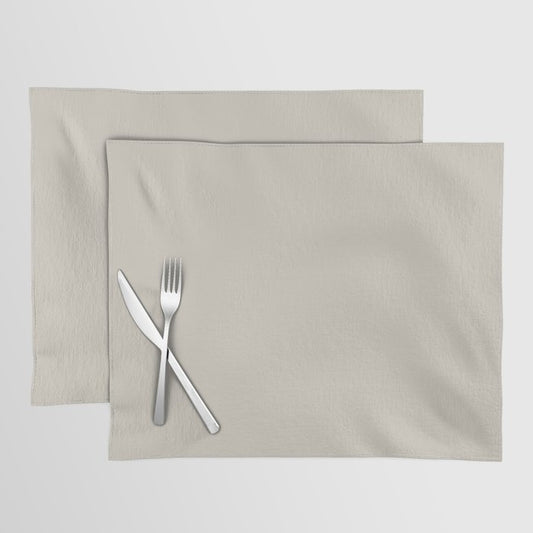 Pale Smokey Gray Solid Color Pairs 2023 Color of the Year Valspar Villa Grey 6005-1B Placemat