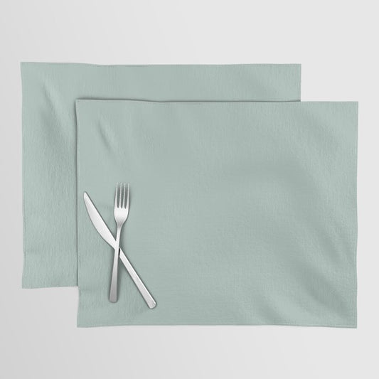 Pastel Aqua Green Solid Color Pairs PPG Glidden 2023 Trending Color Crystal Oasis PPG1138-3 Placemat