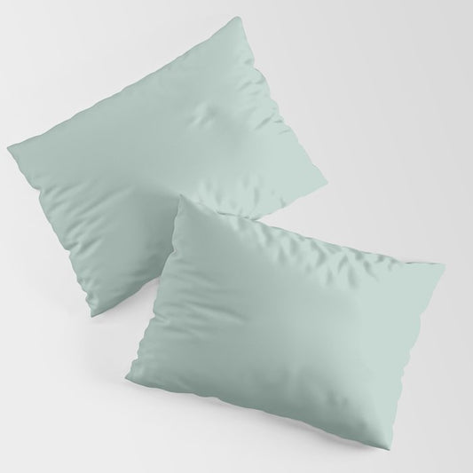 Pastel Aqua Green Solid Color Pairs PPG Glidden 2023 Trending Color Crystal Oasis PPG1138-3 Pillow Sham