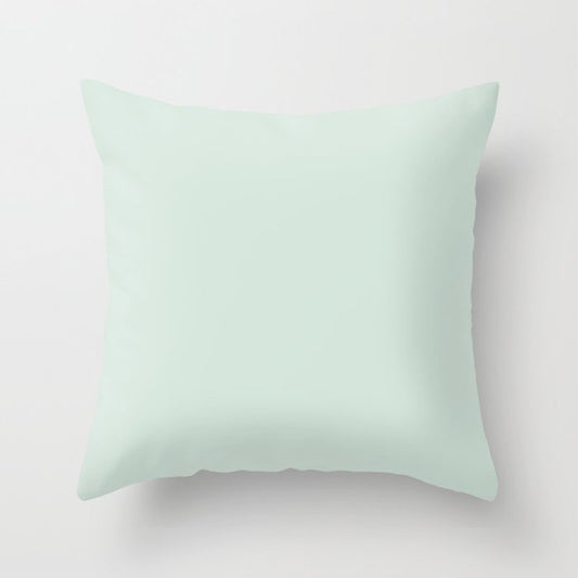 Pastel Aquamarine Green Solid Color Pairs PPG 2023 Trending Shade Summer Breeze PPG1139-1 Throw Pillow