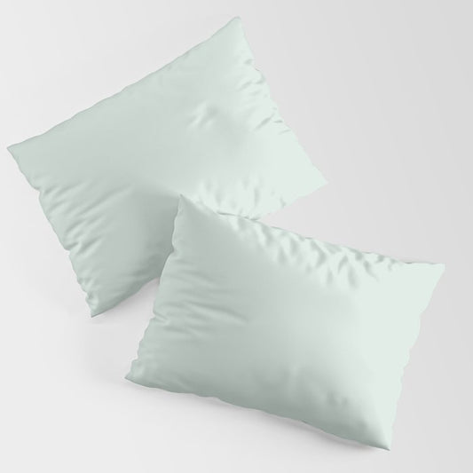 Pastel Aquamarine Green Solid Color Pairs PPG 2023 Trending Shade Summer Breeze PPG1139-1 Pillow Sham