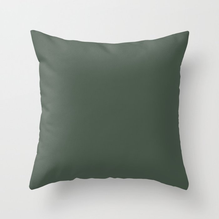 Poised Nature Dark Green Grey Solid Color - All Colour - Single Shade Pairs w/ Rock Garden SW 6195 Throw Pillow