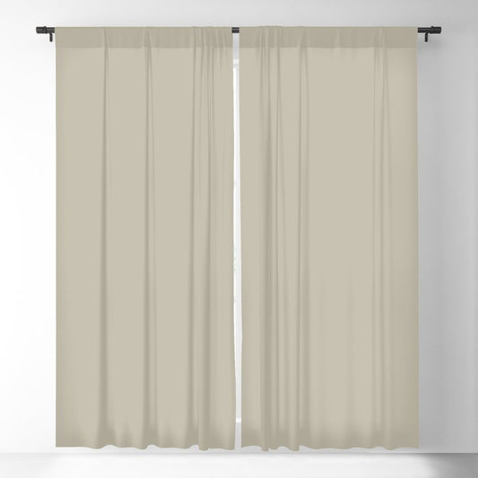 Sleet Medium Gray Solid Color Pairs Dulux 2023 Trending Shade Apparition S16B2 Blackout Curtain