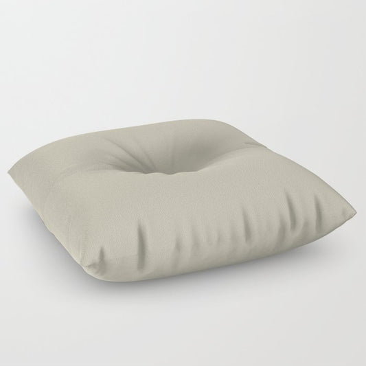 Sleet Medium Gray Solid Color Pairs Dulux 2023 Trending Shade Apparition S16B2 Floor Pillow