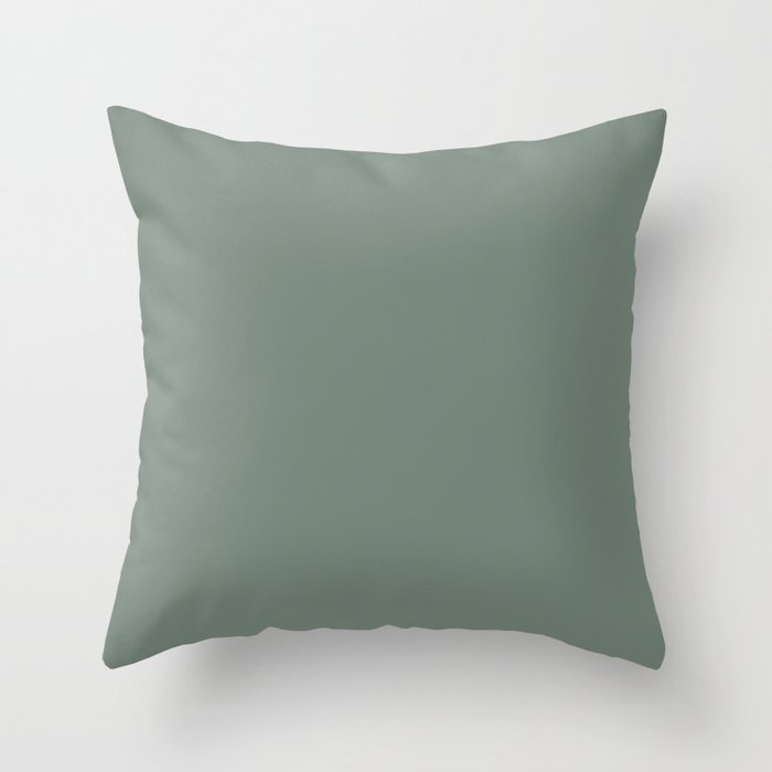 Smoked Aqua Green-Blue Solid Color Accent Shade Matches Sherwin Williams Rookwood Blue Green SW 2811 Throw Pillow