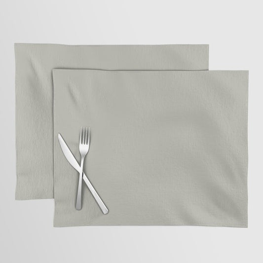 Smokey Pastel Green Grey Solid Color Pairs 2023 Trending Color HGTV Austere Gray HGSW6184 Placemat